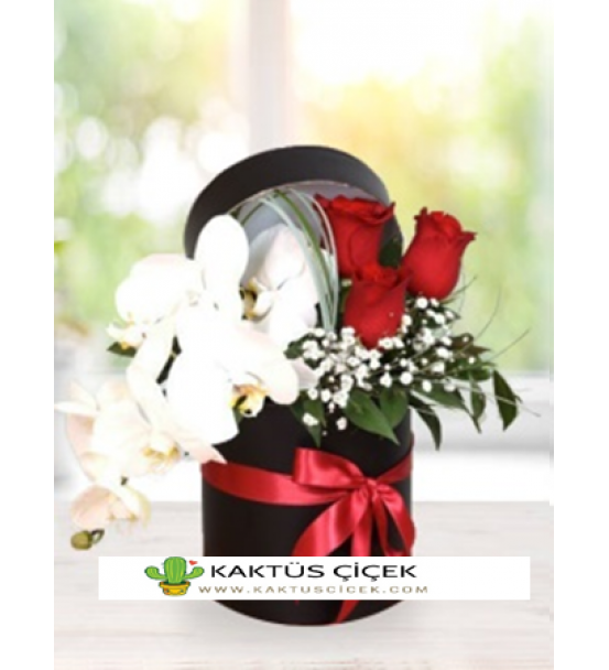 KUTUDA ORKİDE VE GÜL 